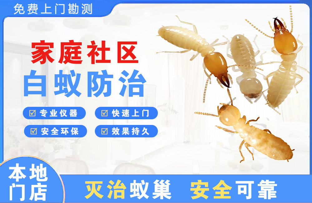 如东家庭社区白蚁防治