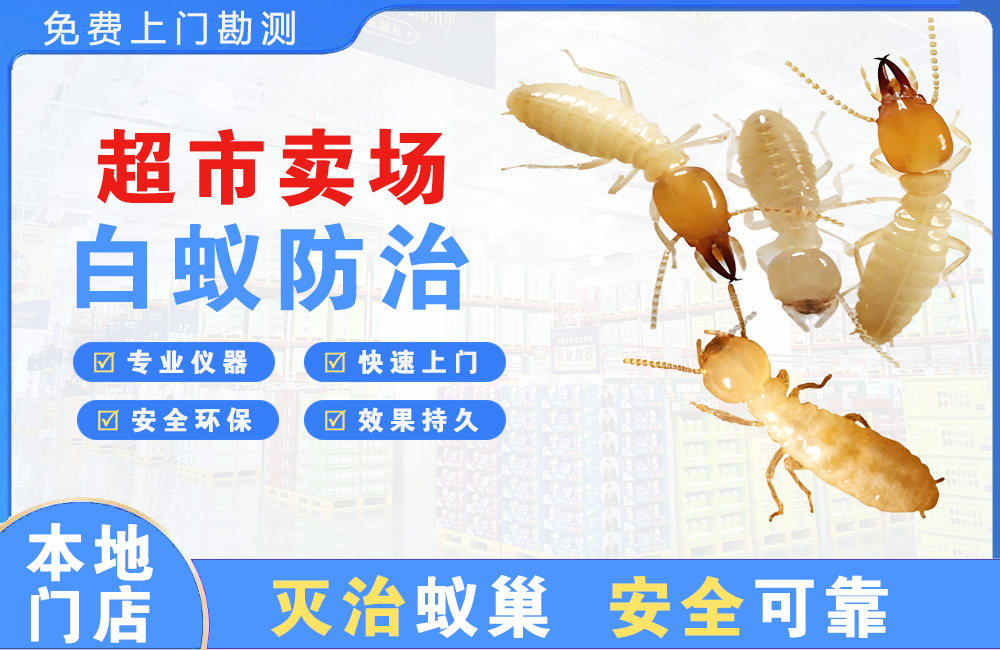 如东超市卖场白蚁防治