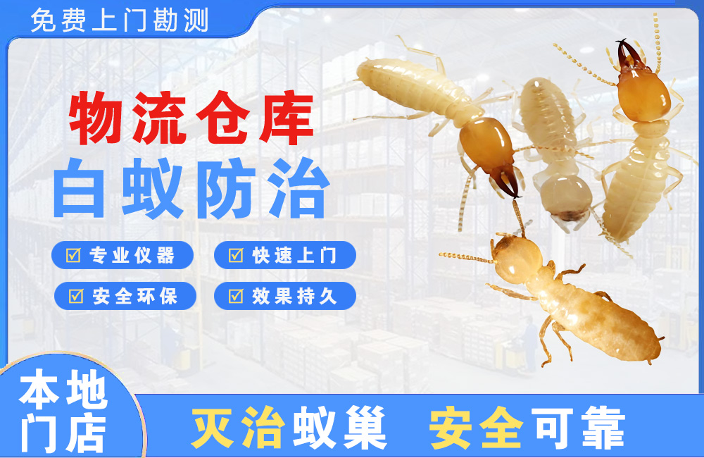 如东物流仓库白蚁防治