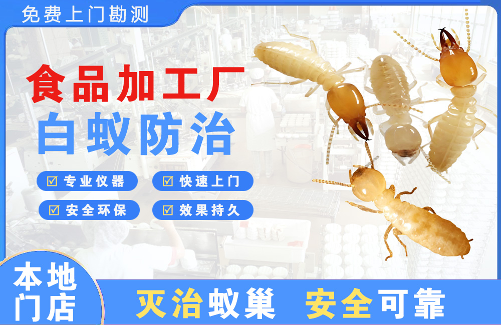 如东食品加工厂白蚁防治
