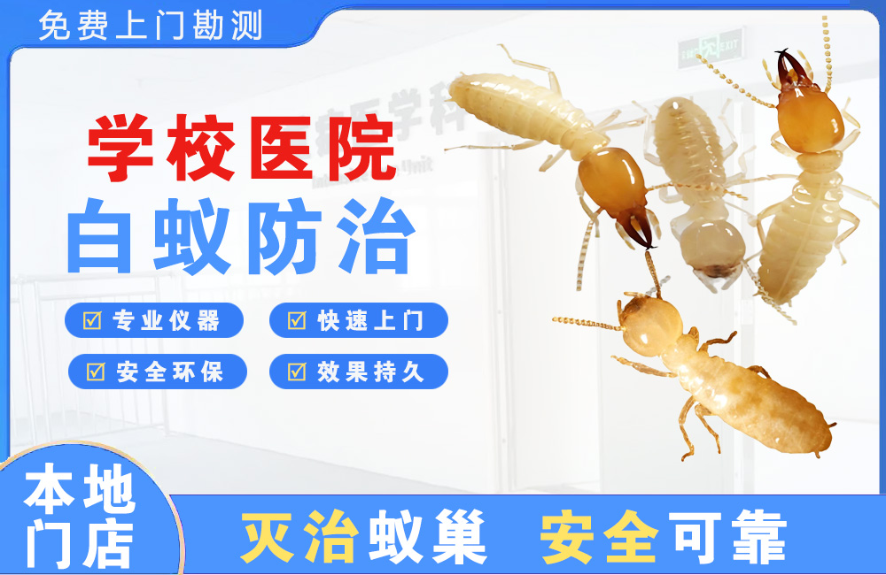 如东学校医院白蚁防治