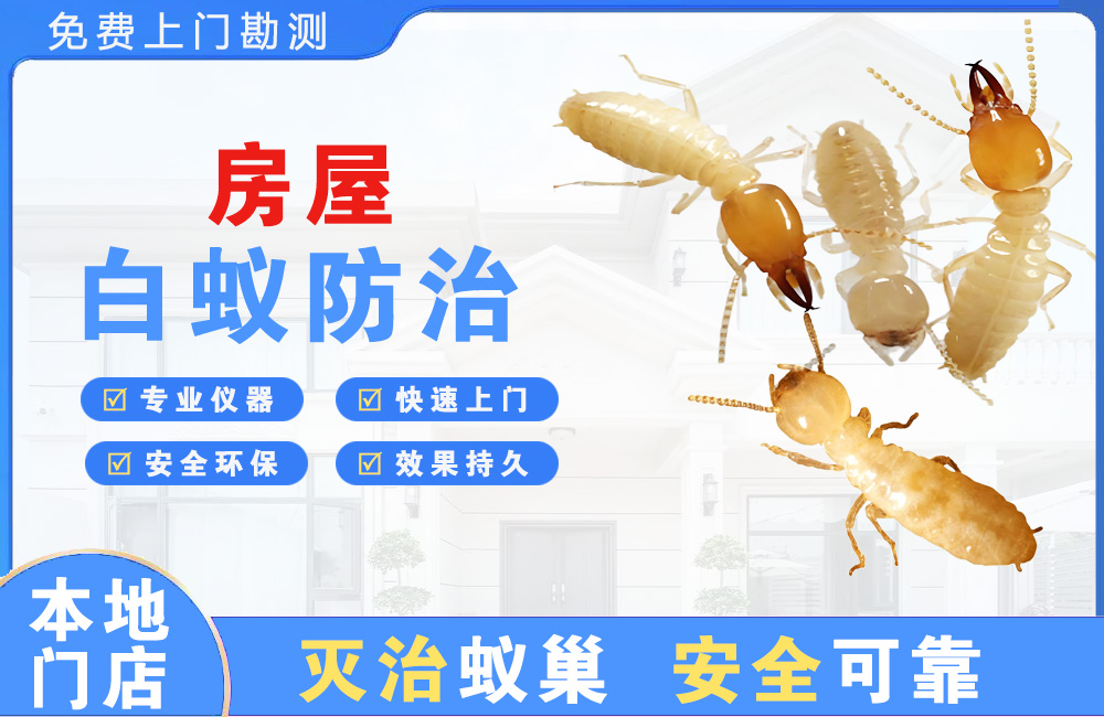 如东房屋白蚁防治