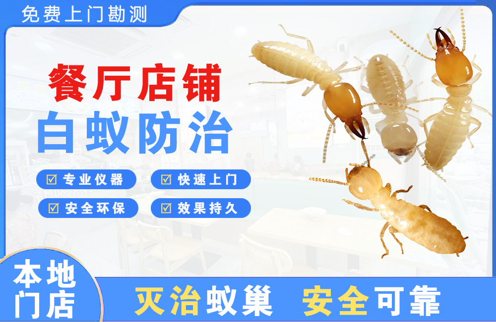 如东餐厅店铺白蚁防治